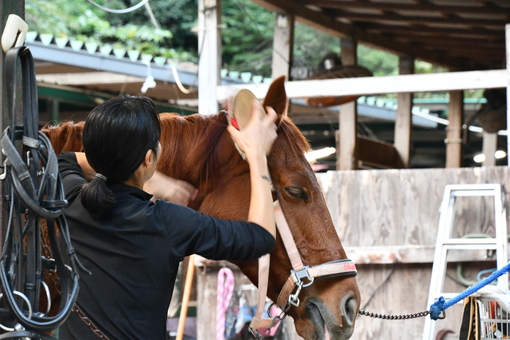 oiso