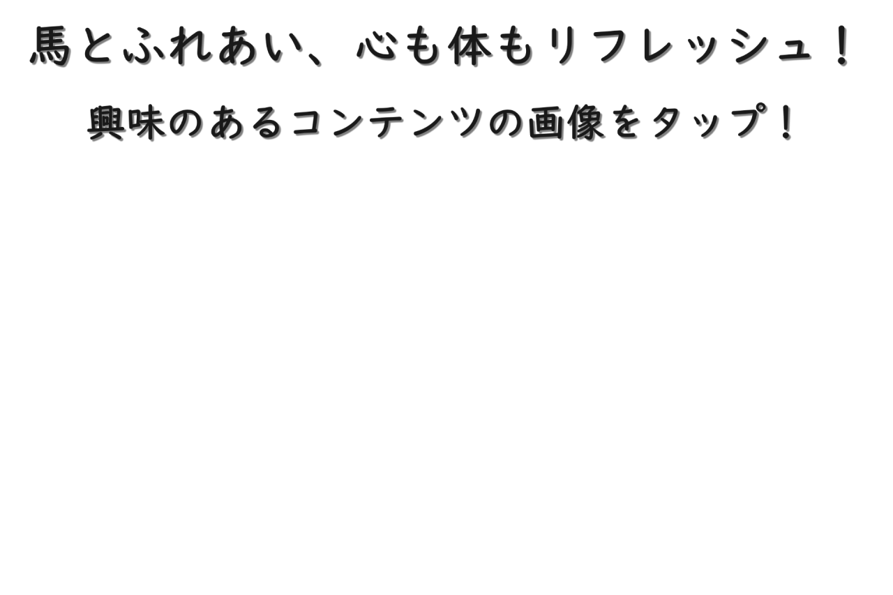 馬と一緒にリラックスできます