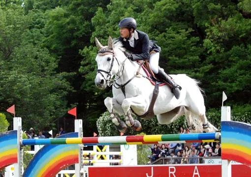 日本馬術連盟2015年度ランキング
