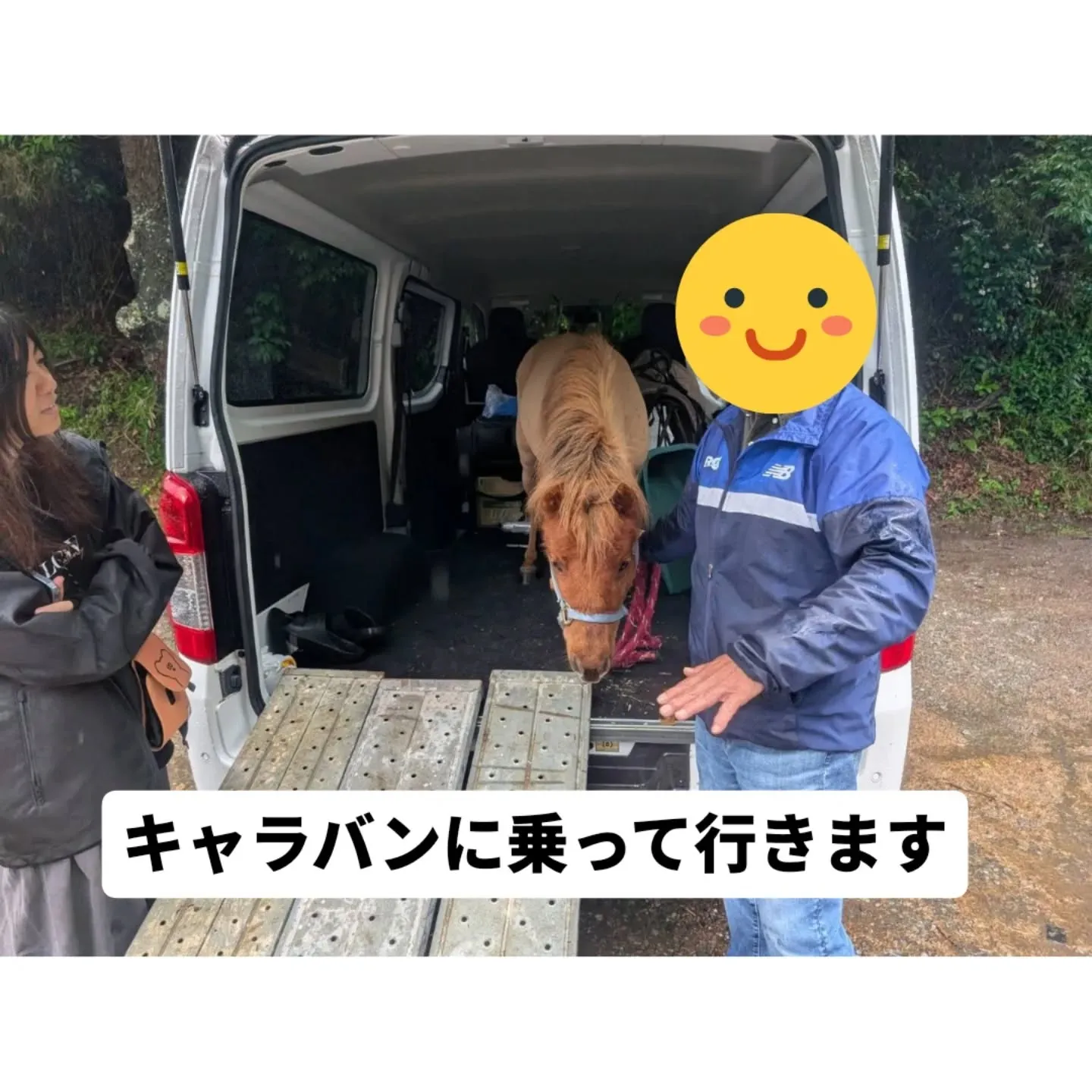 本日、OISO乗馬クラブのアイドル🐴 #ポニーのくるみちゃん...