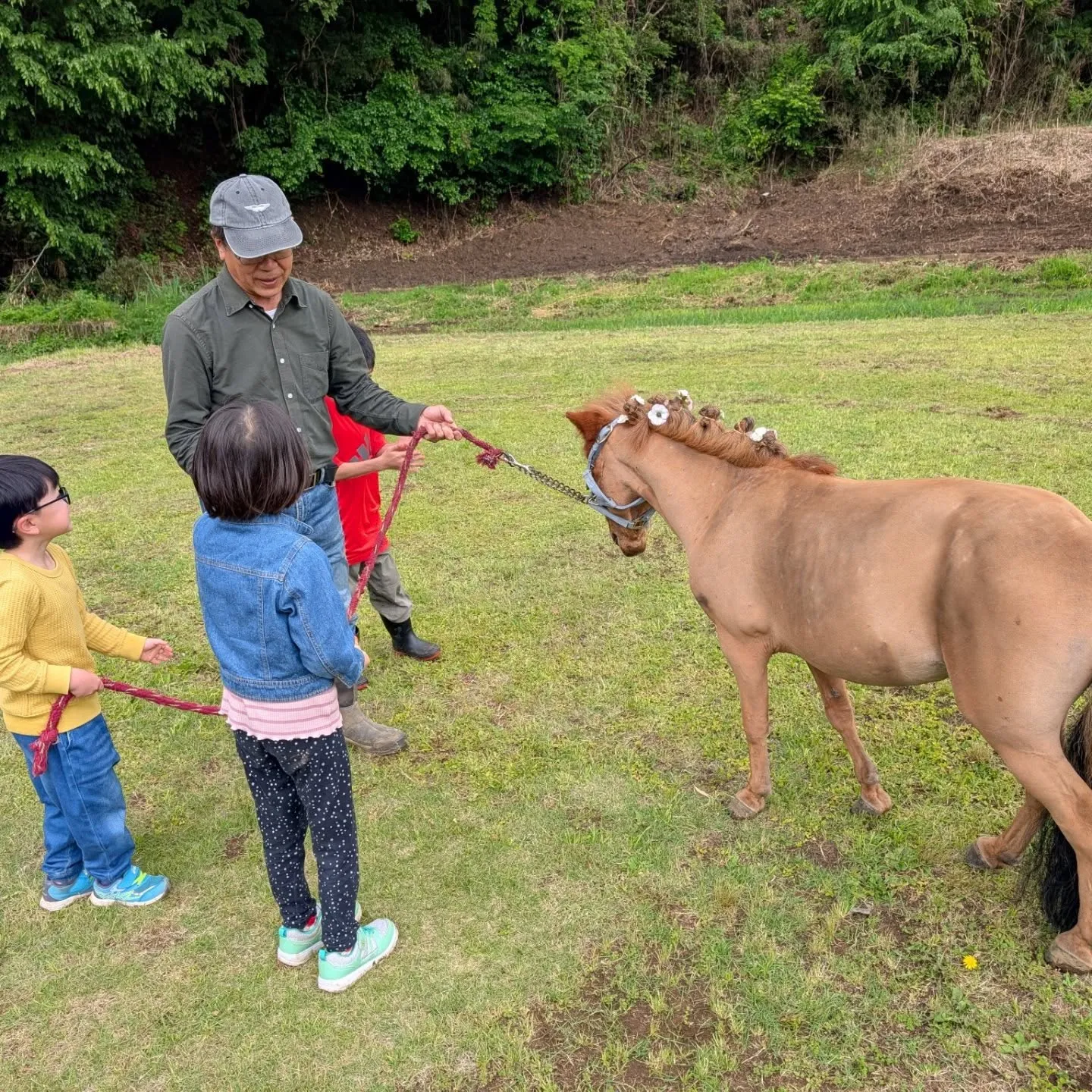 本日、OISO乗馬クラブのアイドル🐴 #ポニーのくるみちゃん...