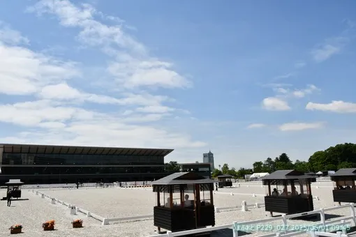 2025年6月2日(日)　第77回全日本馬場馬術大会2025 PartⅡ