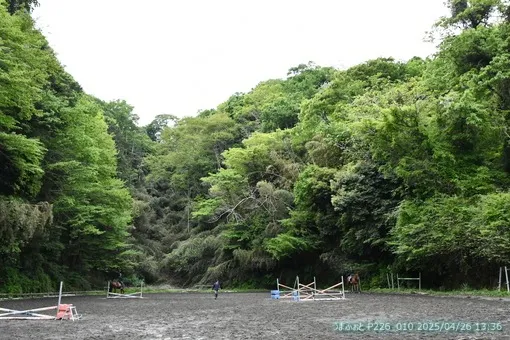 oiso