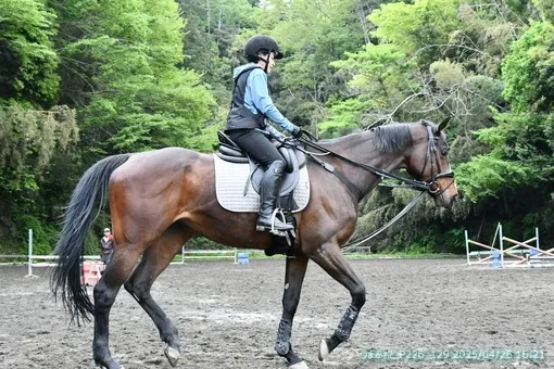 oiso