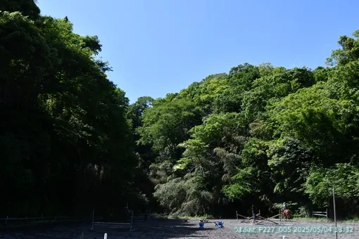 oiso