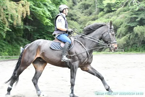 oiso