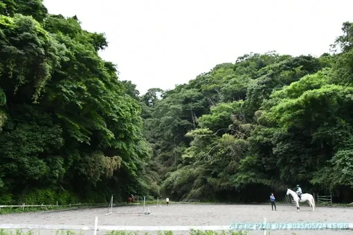oiso