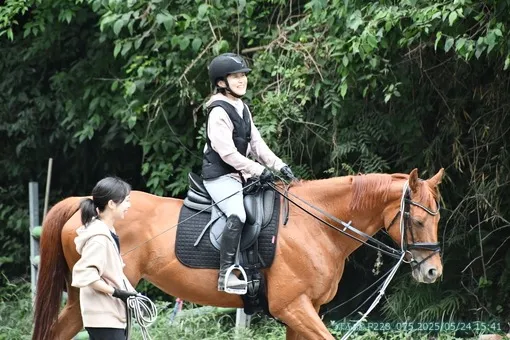 oiso