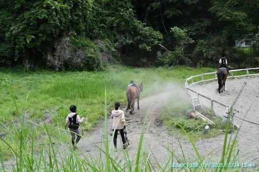 oiso