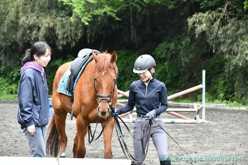 oiso