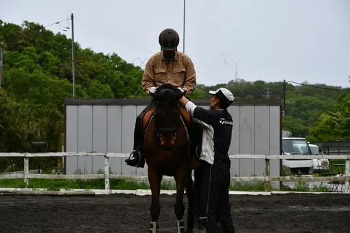 oiso