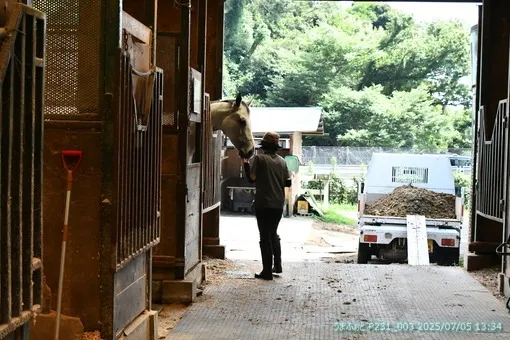 oiso