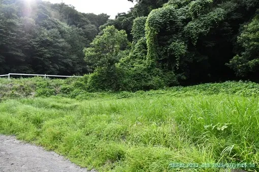 oiso