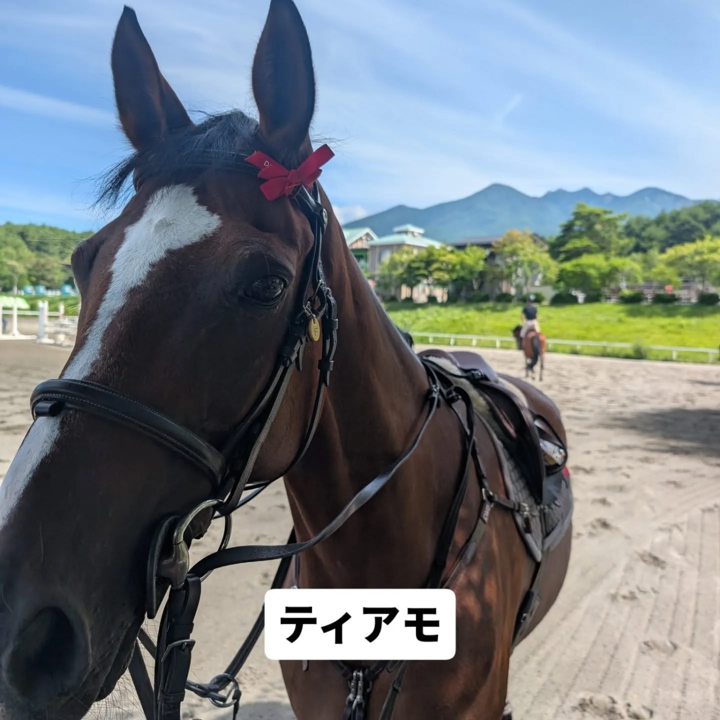 本日より全日本Part2はじまります！