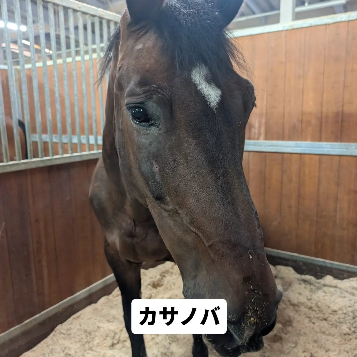 本日より全日本Part2はじまります！