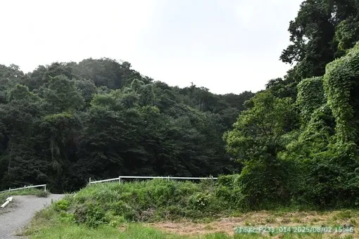 oiso