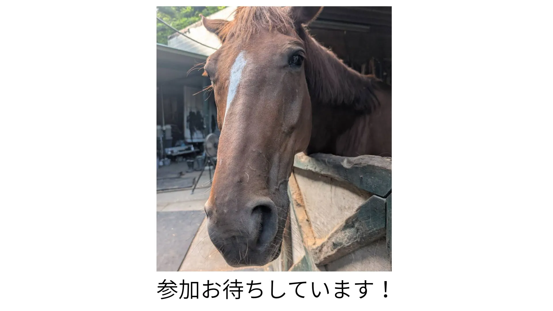 🐴 皆さま、こんばんは！OISO乗馬クラブです😊