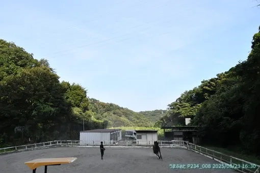oiso