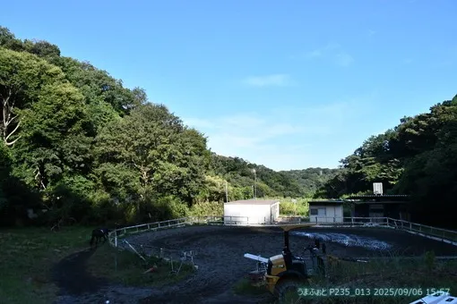 oiso