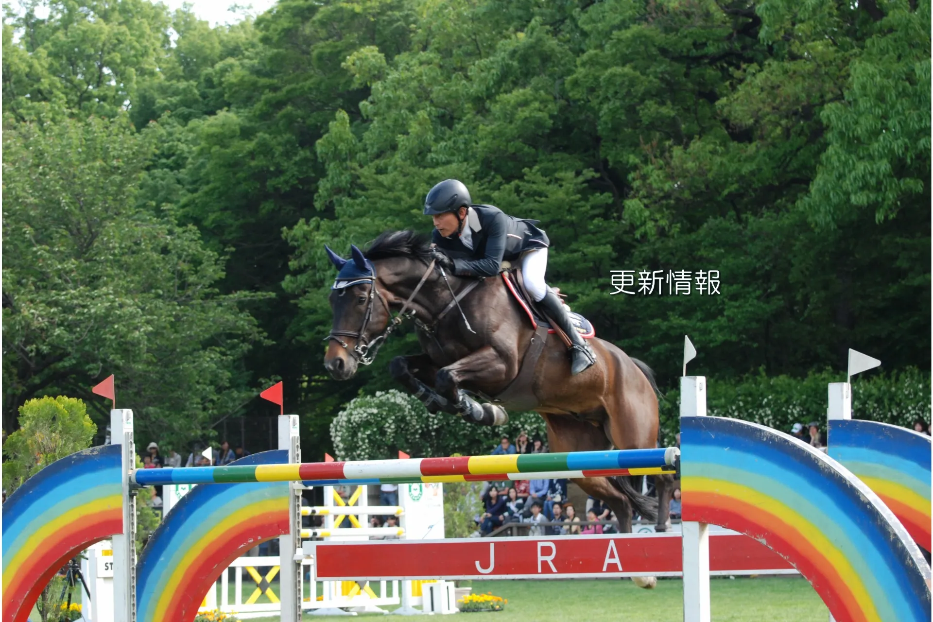 OISO乗馬クラブ