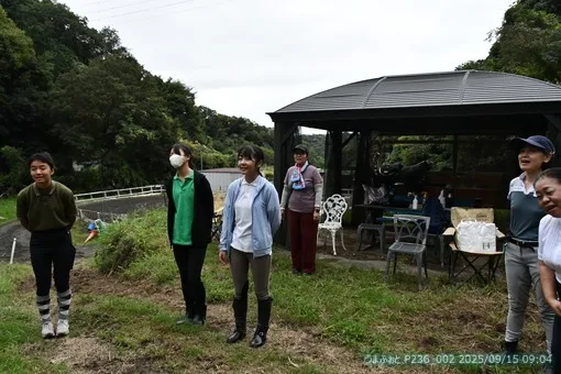 oiso