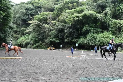 oiso