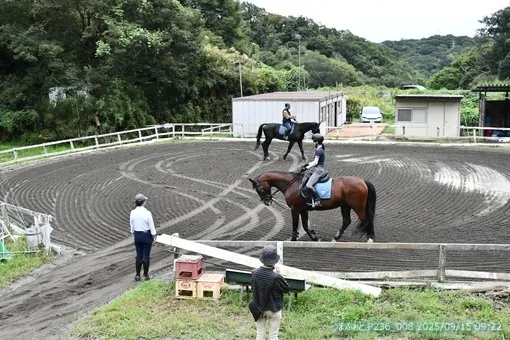 oiso
