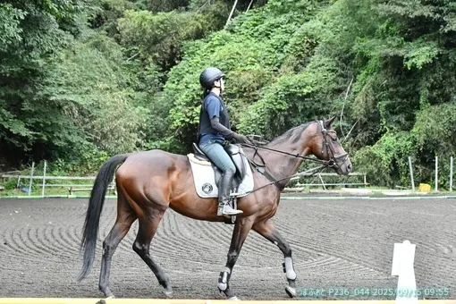 oiso