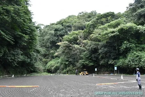 oiso