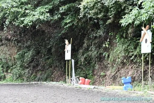 oiso