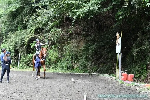 oiso