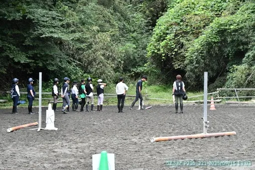 oiso