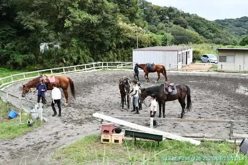 oiso