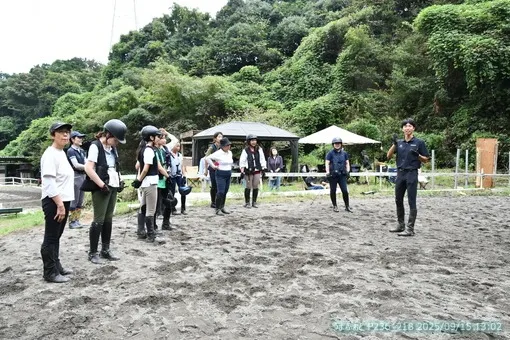 oiso