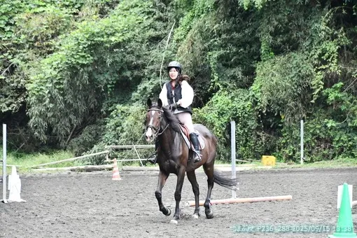 oiso