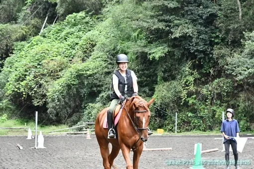 oiso