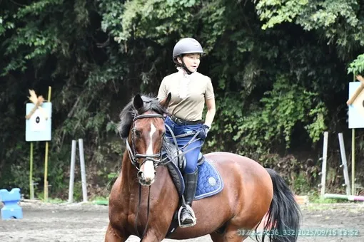 oiso