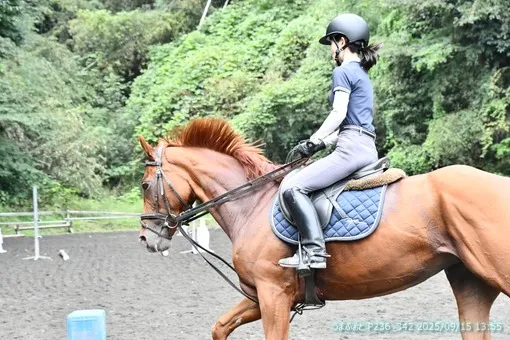 oiso