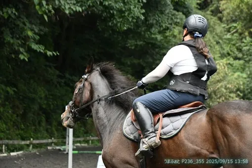 oiso