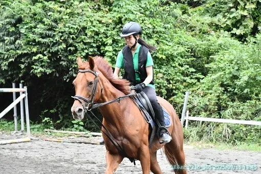 oiso