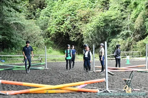 oiso