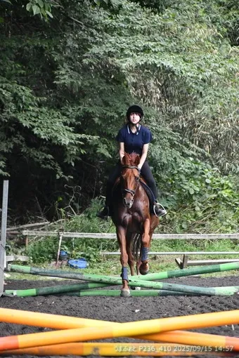oiso