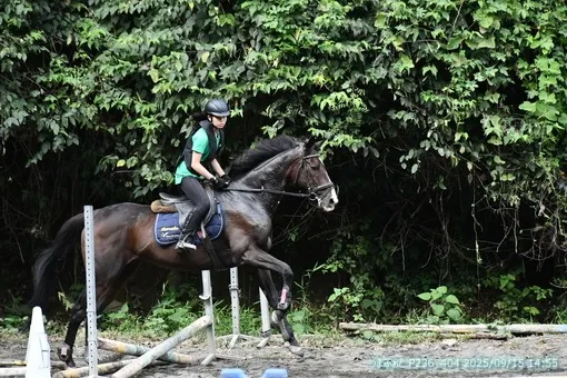 oiso