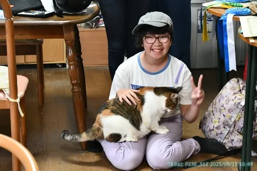oiso