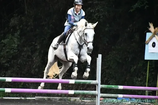 oiso