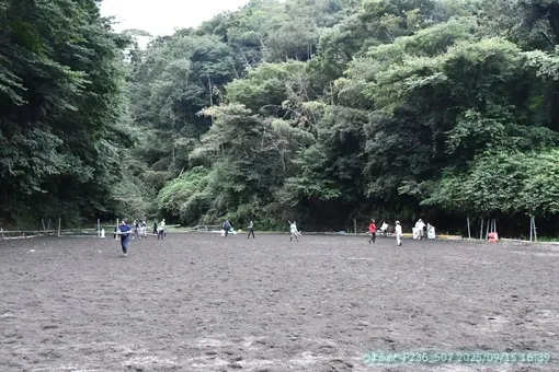 oiso