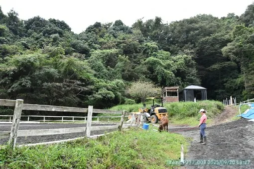 oiso