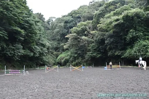 oiso