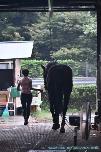 oiso