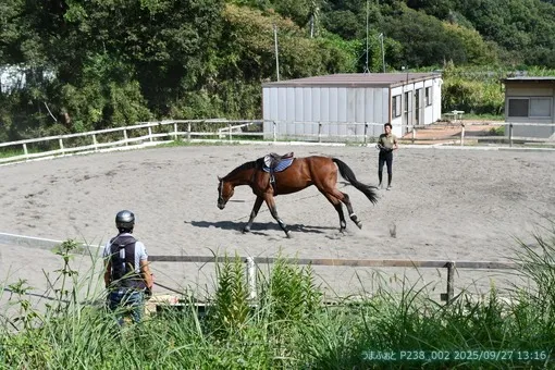oiso